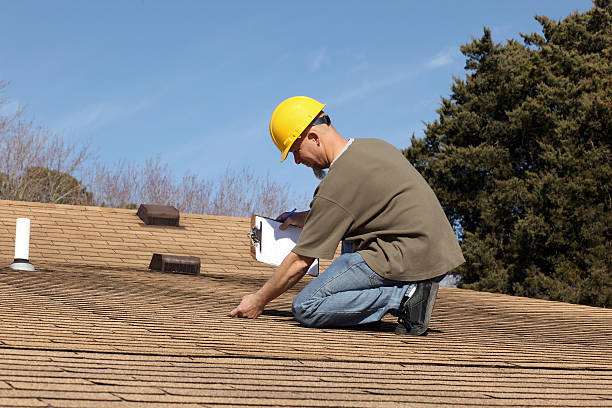 Best Roof Moss and Algae Removal  in Blooming Prairie, MN
